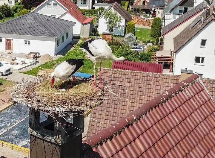 Landgasthof zum Adler